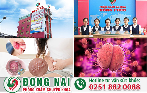 da khoa hong phuc