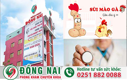 da khoa hong phuc