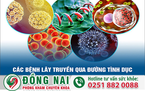 Tổng Hợp Bệnh Truyền Nhiễm Qua Đường Quan Hệ Tình Dục