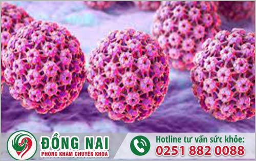 da khoa hong phuc