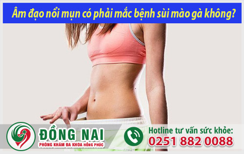 da khoa hong phuc