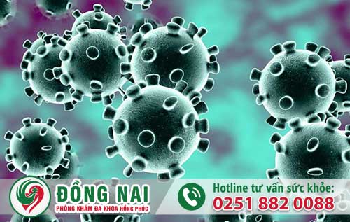 da khoa hong phuc