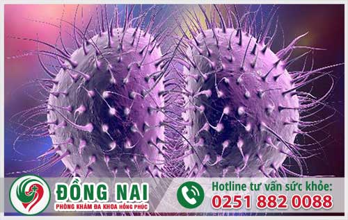 da khoa hong phuc