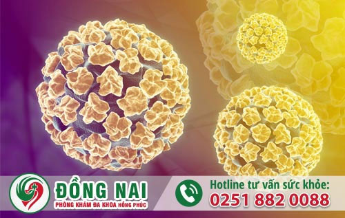 da khoa hong phuc