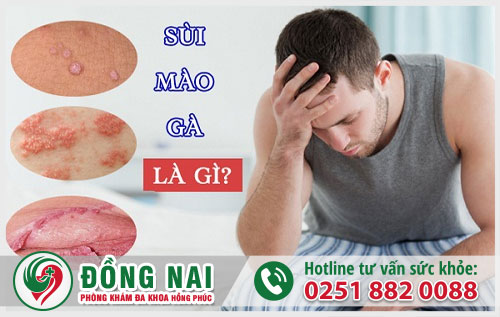 da khoa hong phuc