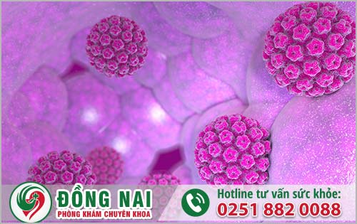 da khoa hong phuc