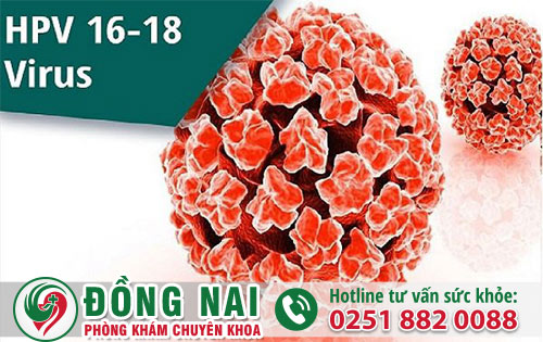 da khoa hong phuc