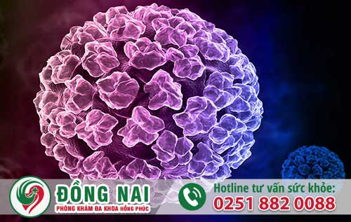 da khoa hong phuc