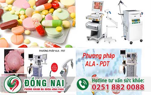 da khoa hong phuc