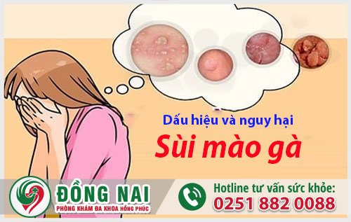 da khoa hong phuc