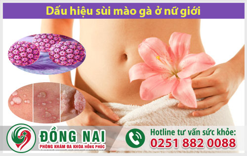 da khoa hong phuc