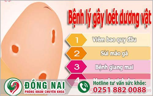 da khoa hong phuc