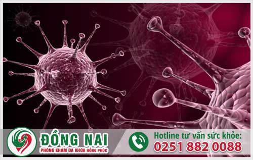 da khoa hong phuc