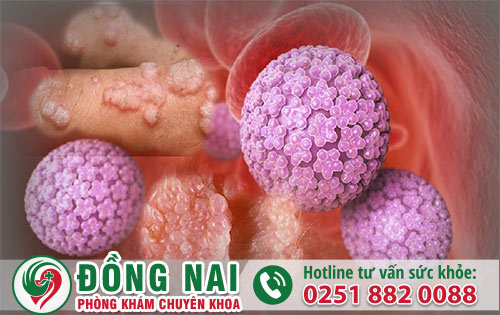da khoa hong phuc