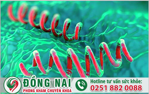 da khoa hong phuc