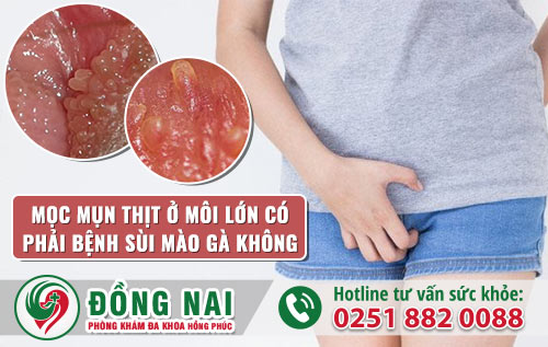 da khoa hong phuc