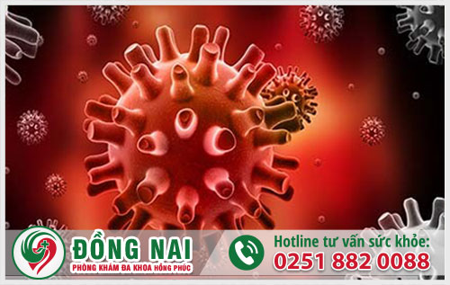da khoa hong phuc