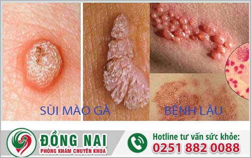 da khoa hong phuc