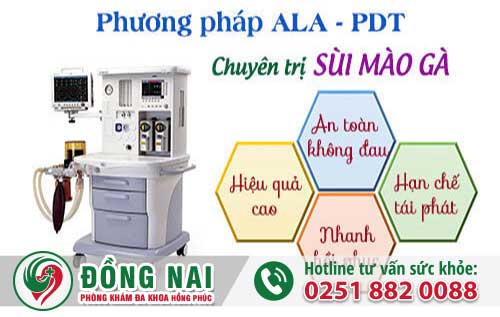 da khoa hong phuc