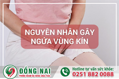 Nguyên nhân gây ngứa vùng kín và cách khắc phục hiệu quả