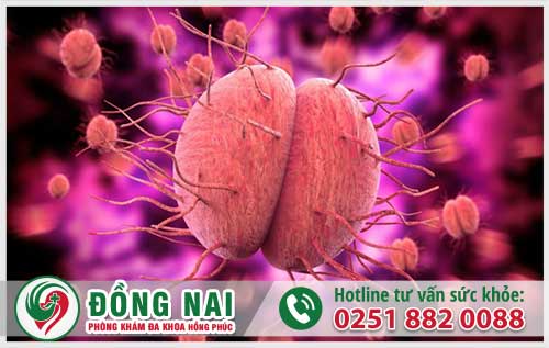 da khoa hong phuc