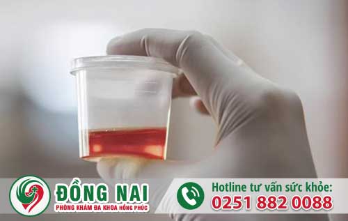 da khoa hong phuc