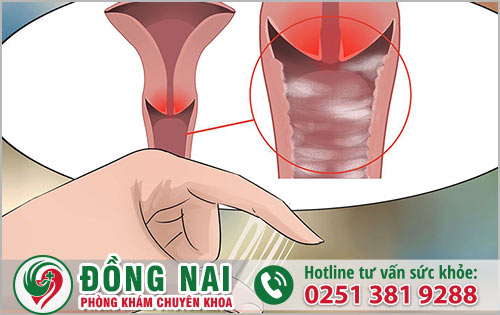 da khoa hong phuc