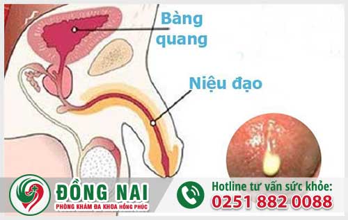 da khoa hong phuc