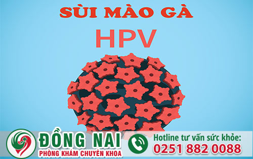 da khoa hong phuc