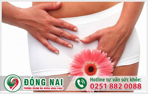 da khoa hong phuc