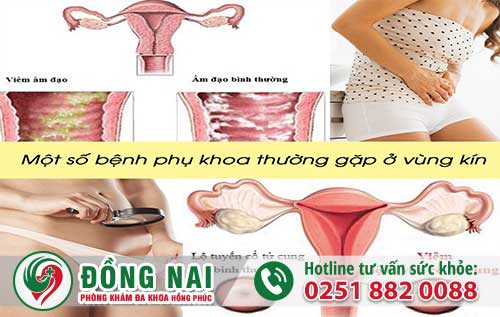 da khoa hong phuc