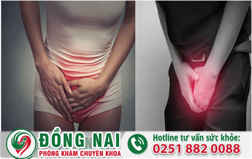 Nổi Mụn Thịt Dư Vùng Kín Có Phải Mắc Sùi Mào Gà