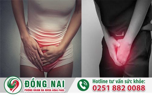 da khoa hong phuc