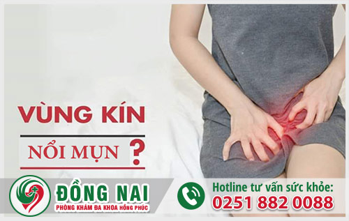 da khoa hong phuc