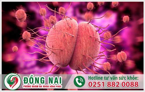 da khoa hong phuc