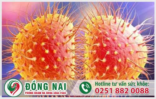 da khoa hong phuc