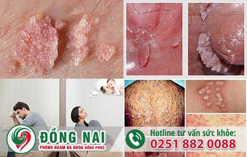 da khoa hong phuc