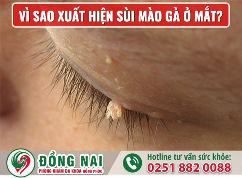 da khoa hong phuc