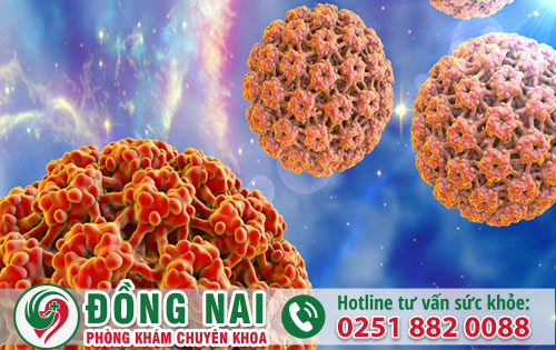 da khoa hong phuc