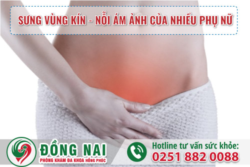 Sưng vùng kín là dấu hiệu cảnh báo bệnh gì?