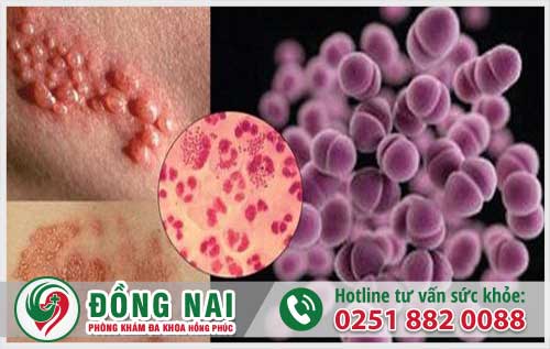 da khoa hong phuc