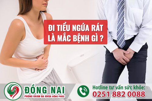 Đi tiểu ngứa rát là mắc bệnh gì? Hỗ trợ điều trị ra sao?