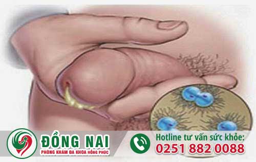 da khoa hong phuc
