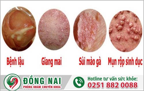 da khoa hong phuc