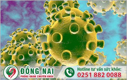 da khoa hong phuc