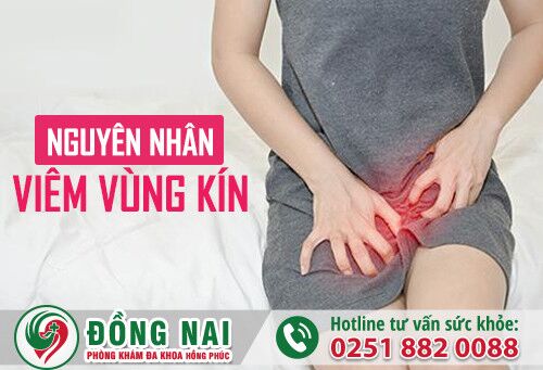 Viêm vùng kín - nguyên nhân và cách hỗ trợ điều trị hiệu quả