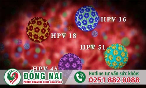 Virus HPV là gì?