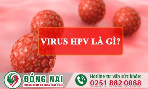 Virus HPV là gì?